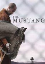 The Mustang